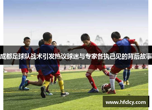 成都足球队战术引发热议球迷与专家各执己见的背后故事