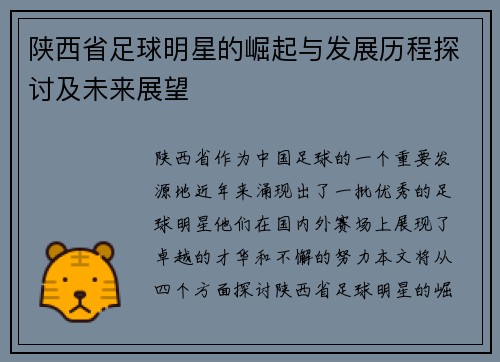 陕西省足球明星的崛起与发展历程探讨及未来展望
