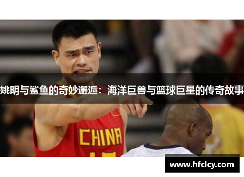 姚明与鲨鱼的奇妙邂逅：海洋巨兽与篮球巨星的传奇故事